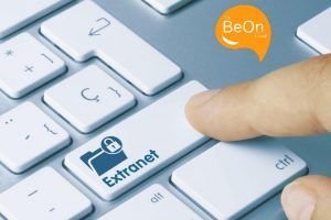 Intranet, Extranet propia